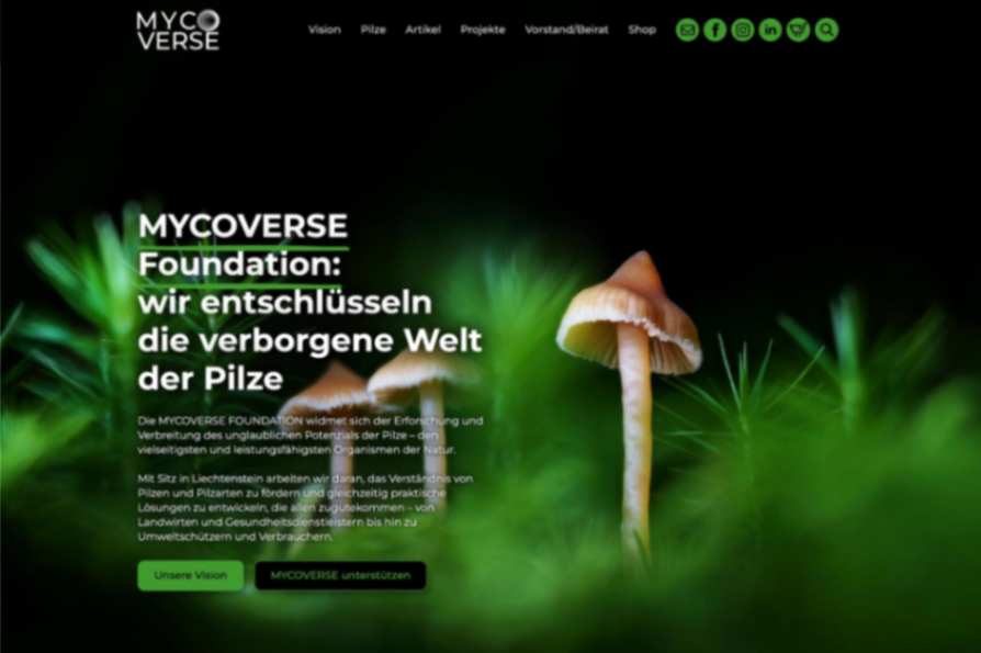 Portfolio von DI(FH) Roland Maria Reininger | RLAND